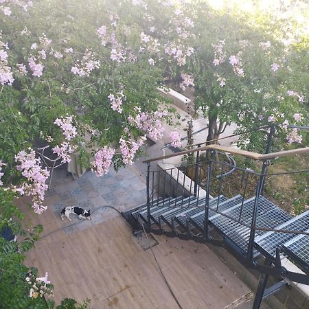 La Fabriqueta Apartament Riudecanyes Екстер'єр фото